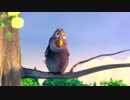 Test Video 123