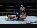 【WWE】TJパーキンスvsダ・マック【CWC】