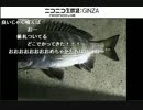 釣り　カイズ（黒鯛　約２０センチＮｏ3）ＶＳ生主