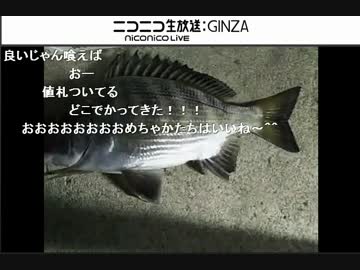 人気の カイズ 動画 5本 ニコニコ動画