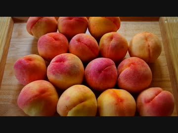 大量の桃で色々作ってみた。