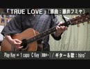 【コード譜あり】「TRUE LOVE」サビだけ弾き語り【演奏動画】