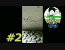 #2【ポケモンGO】キャタピー求めて近所の山を徘徊GOTCHA!