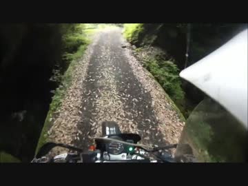 【KLX250】静岡の林道走るよ　林道黒川線【林道】