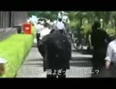 変態毎日新聞、逃亡する鳥越俊太郎