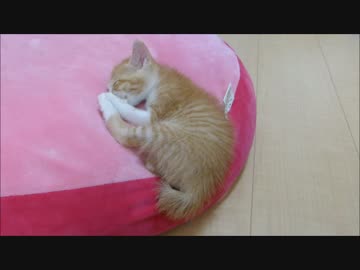 あ～落ちる落ちる・・・