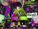 【スプラトゥーン】最後の挑戦 シオカラ国民投票【ホタル】