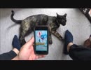 【ゆっくりマグナ５０】ポケモンＧＯと走ってみた！【孵化しないお！】