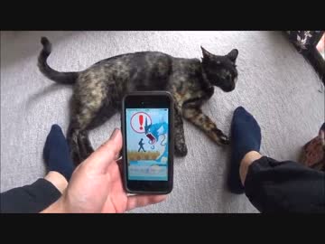 【ゆっくりマグナ５０】ポケモンＧＯと走ってみた！【孵化しないお！】