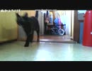 おやつの時間！　20160725