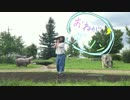 【Py.】 おねがいダーリン　踊ってみた