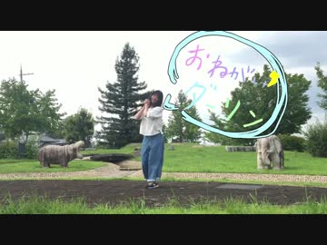 【Py.】 おねがいダーリン　踊ってみた