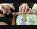 【定規】"すきなことだけでいいです"を定規で弾いてみた【おれお】