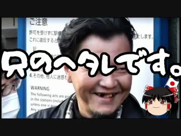 【ゆっくり保守】野間ちんをディスる回