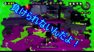 【スプラトゥーン】ラストフェス！アオリのために(・д・三・д・)