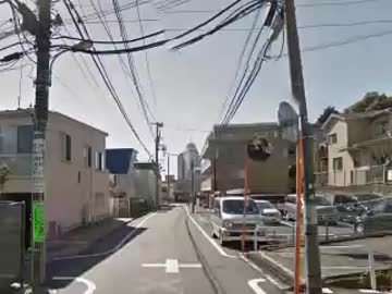 COAT本社に出現するポケモン.MDS