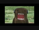 Domo Lost Episode