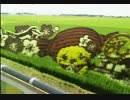 田んぼアート　茨城県水戸市　