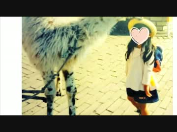 おっぱい保育士の普通にかわいいツイート集