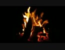 Bonfire with Crackling Fire Sounds _3
