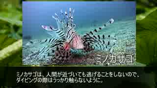毒を持つ動物たち