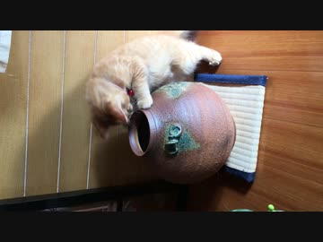 壺の中身は何じゃろな？