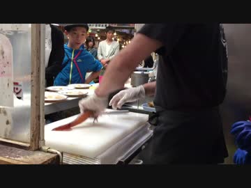 恐るべしイカの底力！