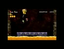 兄弟ケンカも度が過ぎると刑事事件［NewスーパーマリオブラザーズWii］終