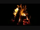 Bonfire with Crackling Fire Sounds _7