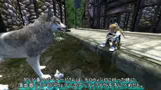 【OBLIVION】伝説のミニマム勇者の物語　その２０
