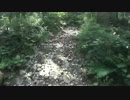 林道ソロツーリング