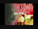 BN 飛翔