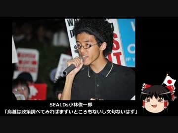 【ゆっくり保守】SEALDs「鳥越の政策には文句ないはず」