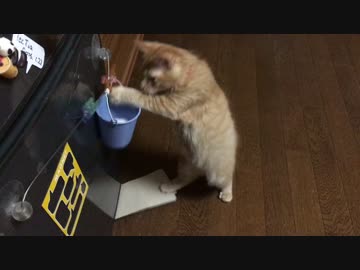 マイブーム