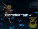 見習い冒険者が幻想入り１
