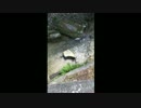 小決断１０７９　緊張する