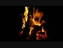 Bonfire with Crackling Fire Sounds _17