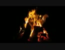 Bonfire with Crackling Fire Sounds _20