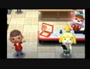 どうぶつの森　ハッピー？ホームデザイナー【実況】　PART29
