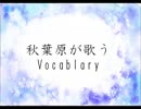 秋葉原が歌うVocablary