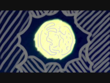 [NNI] フロッグ・ワークス / was