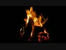 Bonfire with Crackling Fire Sounds _22