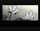 【雪割りの花】切ない恋模様を味わう【実況】part.4