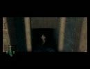 【ゼルダ】イカプレイヤーが二つの世界(と2人の姫様)を救う旅 Part.51