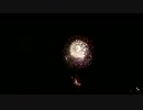 第31回さかいふるさと祭り 大花火大会(4)