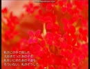 ただのもりじ　桜の散る季節にまた逢いましょう　p.2
