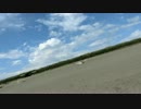CIMG6053初サーフィン湘南峰岸ふじこ