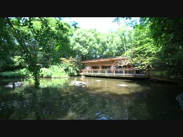 【V-stromで行く！】32.熱田神宮と豊川稲荷に行ってきました【琴葉車載】