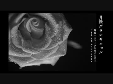 【人力刀剣乱舞】月 蝕グ ラ ン ギ ニョ ル【へし切長谷部】