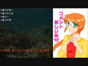 Midi ホウオウ戦bgm ニコニコ動画